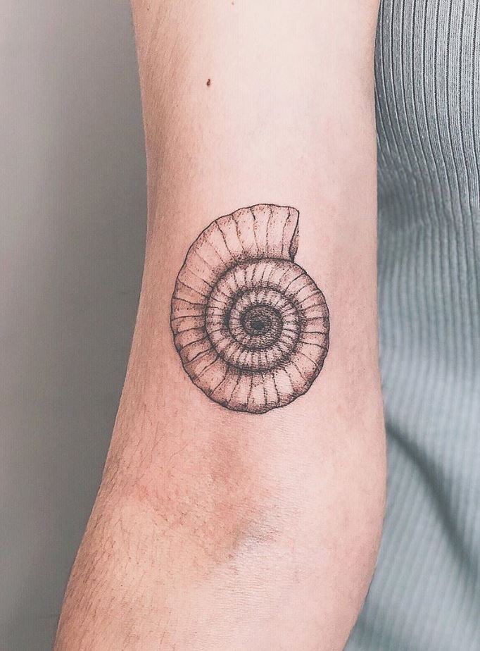 Ammonite Tattoo