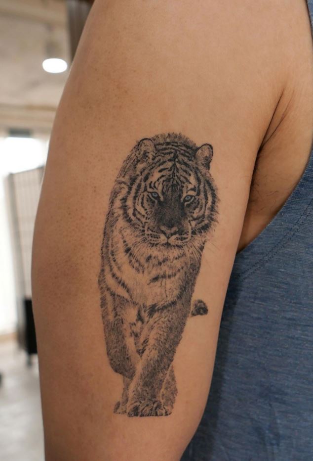 Fully Healed Tiger Tattoo